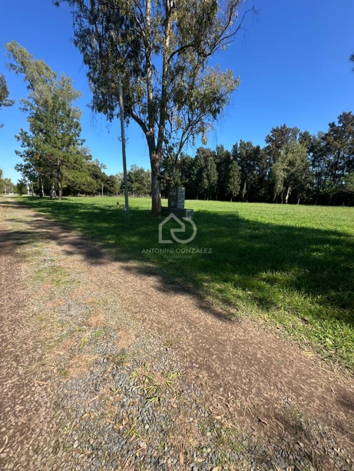 Lote en La Tacuara Club de Campos - Cañuelas | Anticipo U$S 15.000 y Cuotas | Amenities Premium