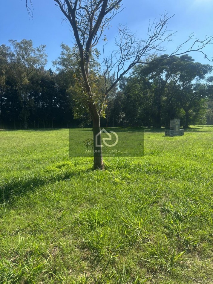Lote en La Tacuara Club de Campos - Cañuelas | Anticipo U$S 15.000 y Cuotas | Amenities Premium