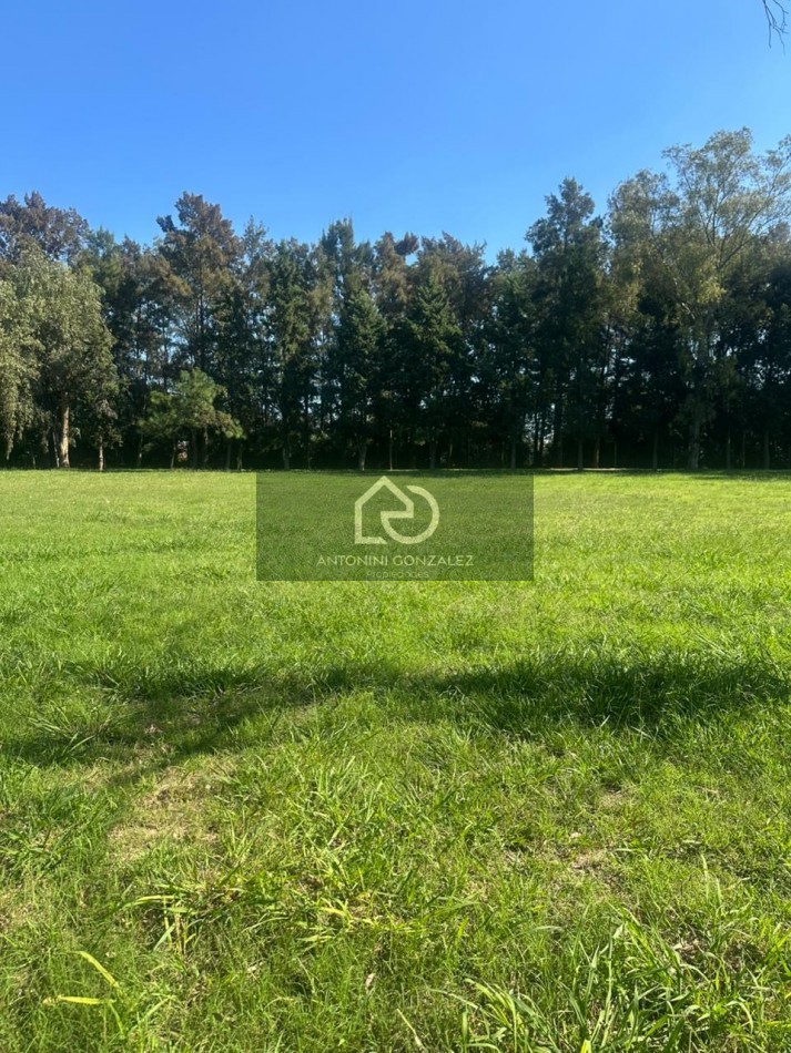 Lote en La Tacuara Club de Campos - Cañuelas | Anticipo U$S 15.000 y Cuotas | Amenities Premium